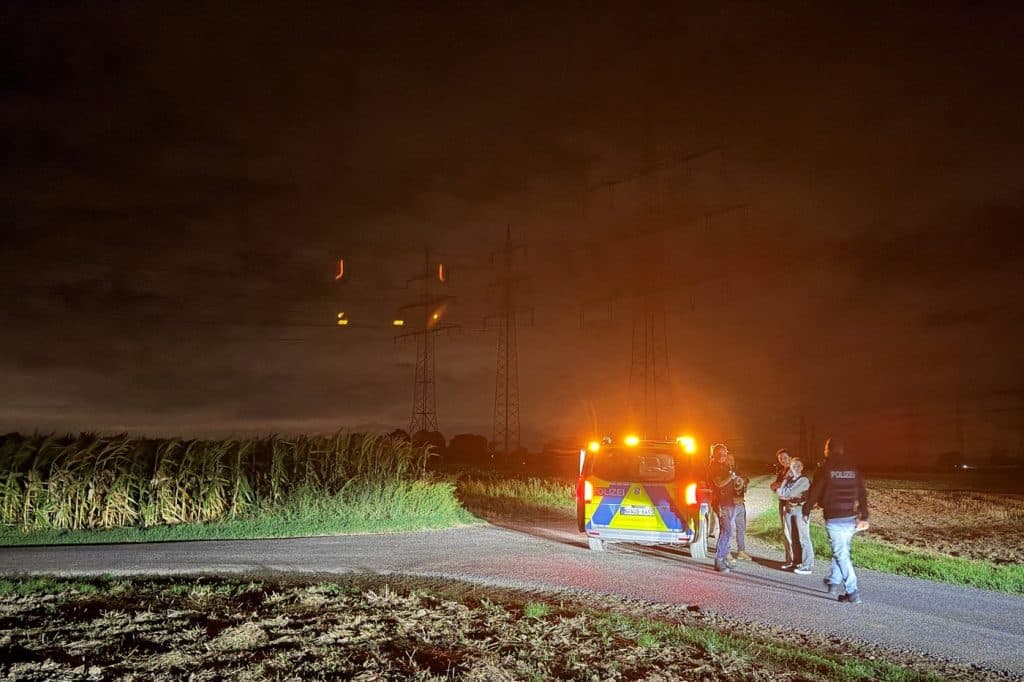 Poliția germană investighează un act de sabotaj la o substație electrică