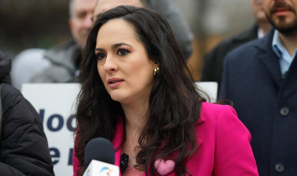 Diana Stoica (USR) contestă numirea lui Luca Niculescu: „A fost susţinut de PSD”