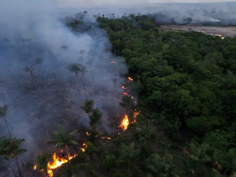 Incendii devastatoare în Amazon: 36 de localități în stare de urgență