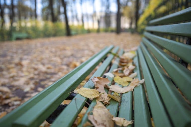 Temperaturi mai scăzute în România până la începutul lui noiembrie