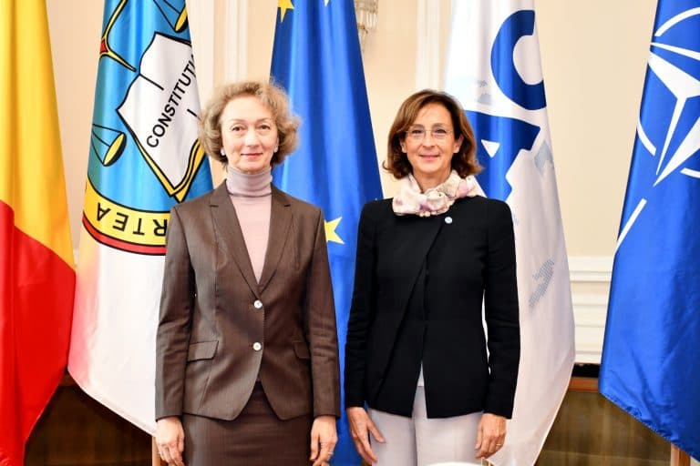 Simina Tănăsescu se întâlnește cu delegația Comisiei de la Veneția pentru discuții despre statul de drept
