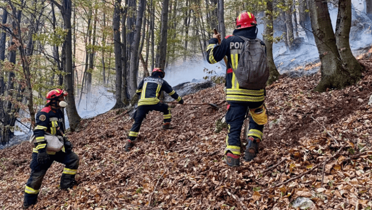 Incendii devastatoare în Parcul Național Domogled, intervenții de urgență ale pompierilor